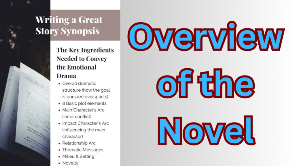 Overview of the Novel